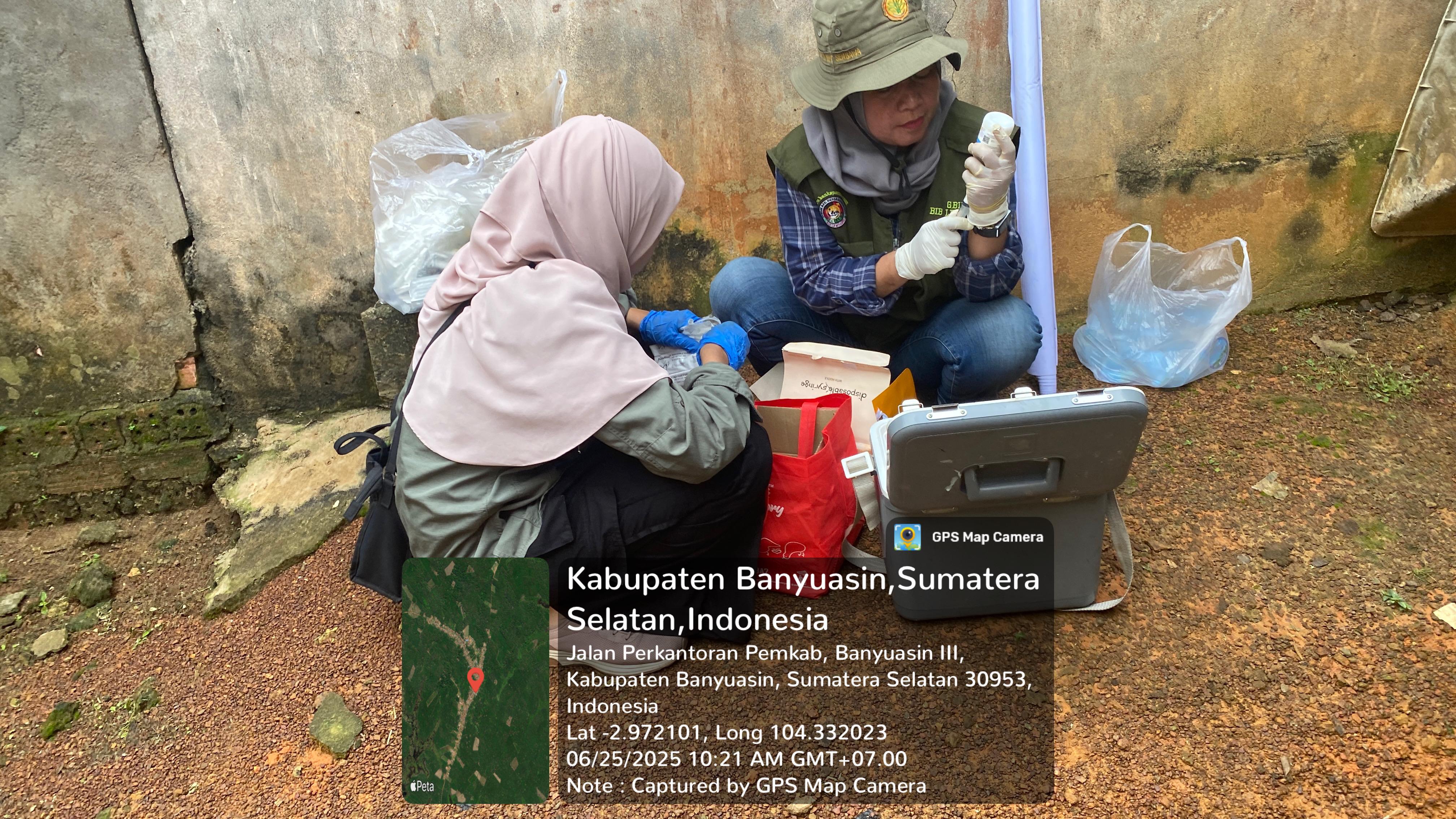 Vaksinasi Ternak Massal